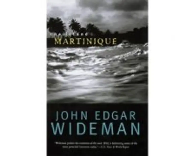 The Island Martinique - John Edgar Wideman