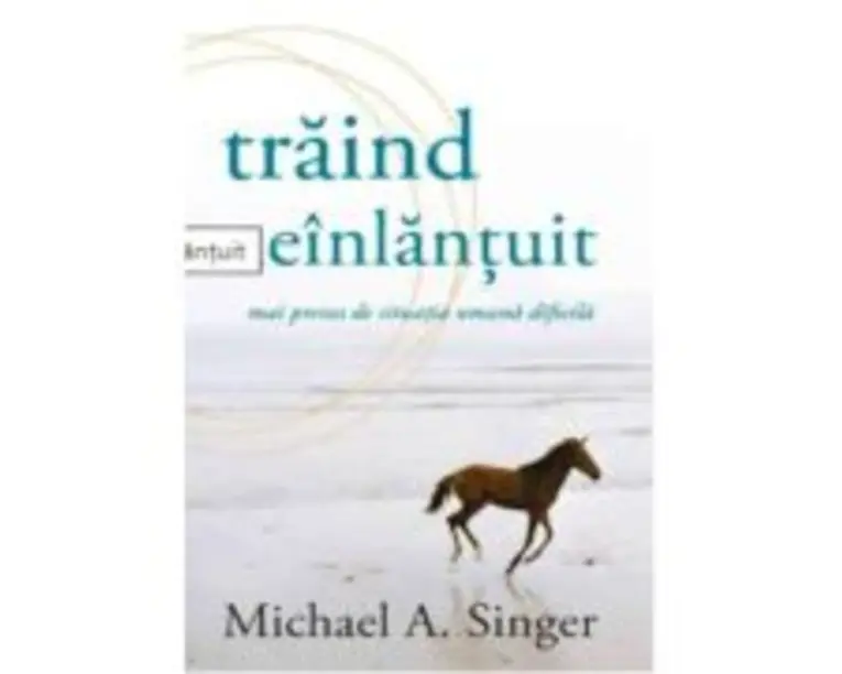 Traind neinlantuit - Michael A. Singer