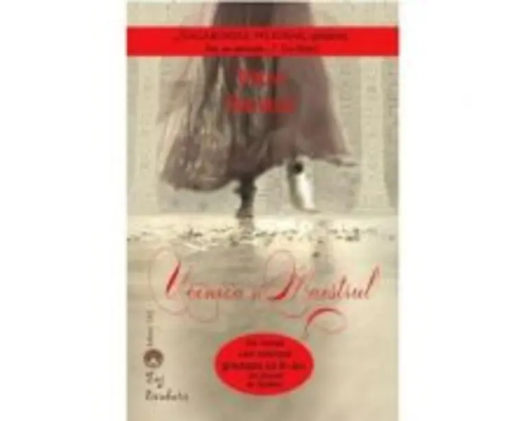 Ucenica si maestrul - Vikas Swarup