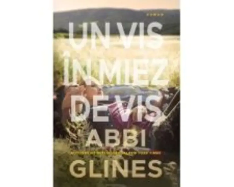 Un vis in miez de vis - Abbi Glines