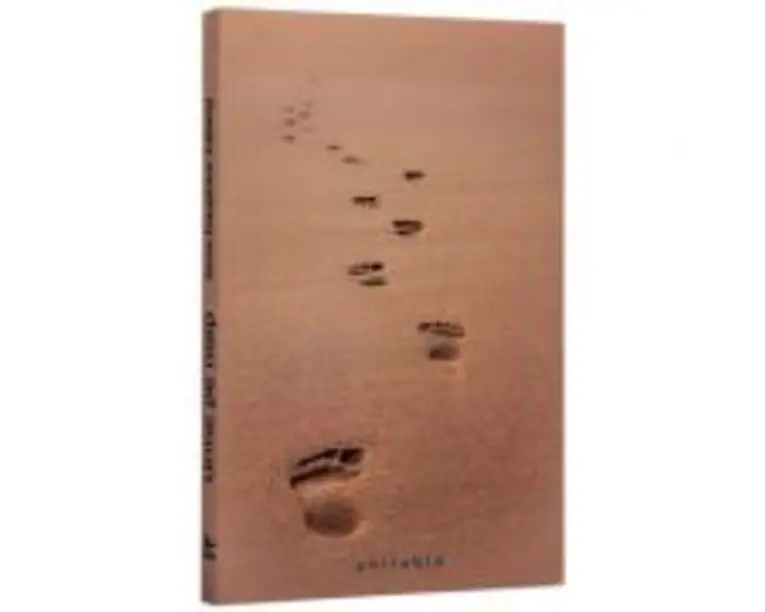 Urme pe nisip. Traducere din limba franceza de Mihaela Cojocariu - Anne-Dauphine Julliand