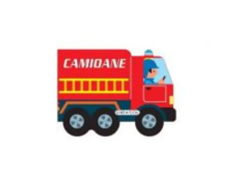 Vehicule cu motor. Camioane