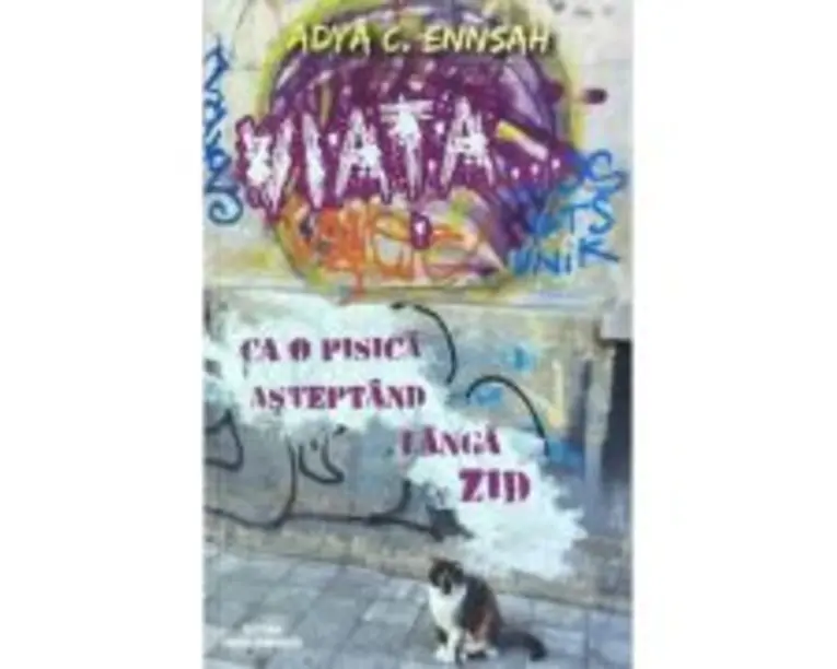 Viata ca o pisica asteptand langa zid - Adya Ennsah