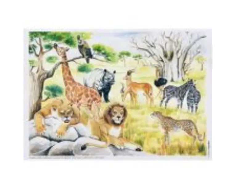 Vietuitoare si mediul lor de viata. Set planse