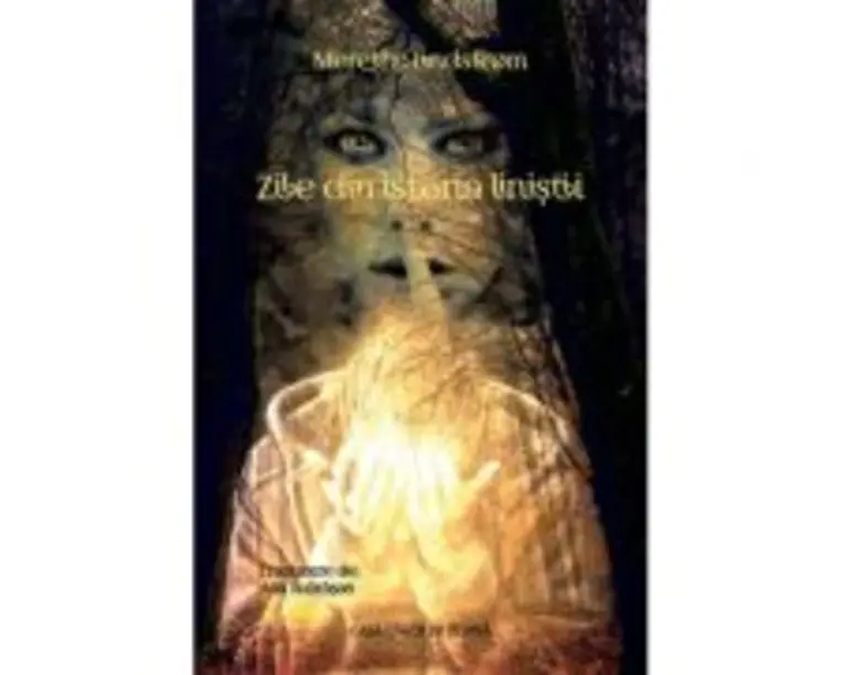Zile din istoria linistii - Merethe Lindstrom