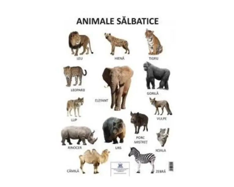Plansa animale salbatice