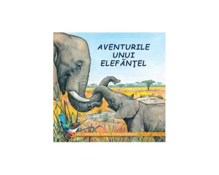 Aventurile unui elefantel - Sa cunoastem lumea inconjuratoare!