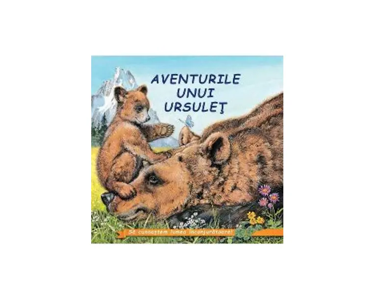 Aventurile unui ursulet - Sa cunoastem lumea inconjuratoare!