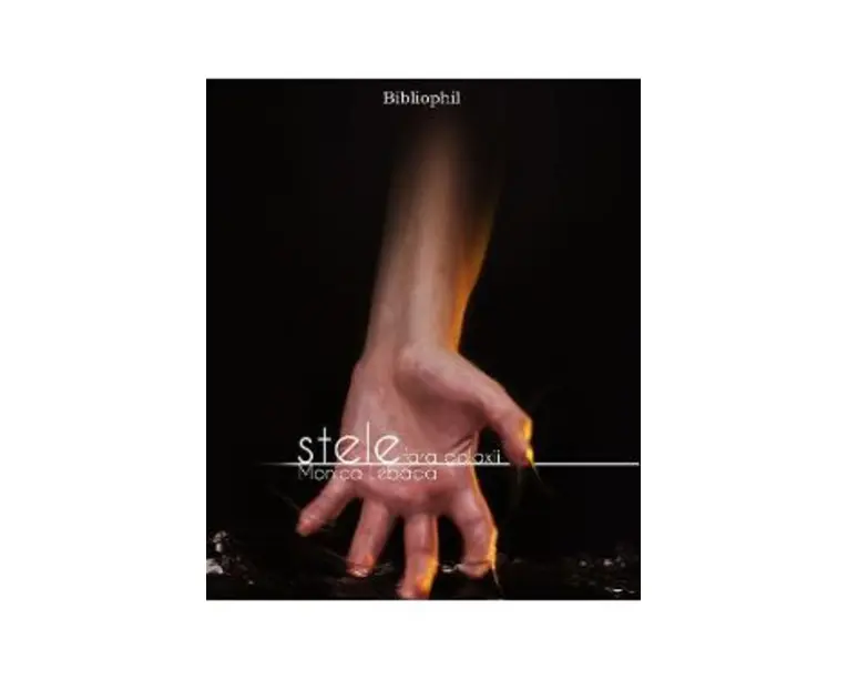 Stele fara galaxii - Monica Lebada