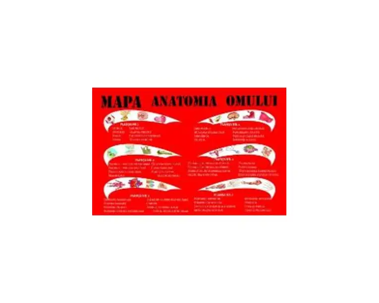 Mapa anatomia omului - Mariana Bodea