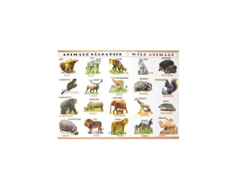Plansa: Animale domestice - Animale salbatice
