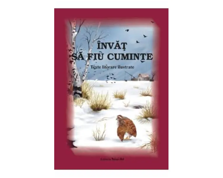 Invat sa fiu cuminte - Adrian Cerchez