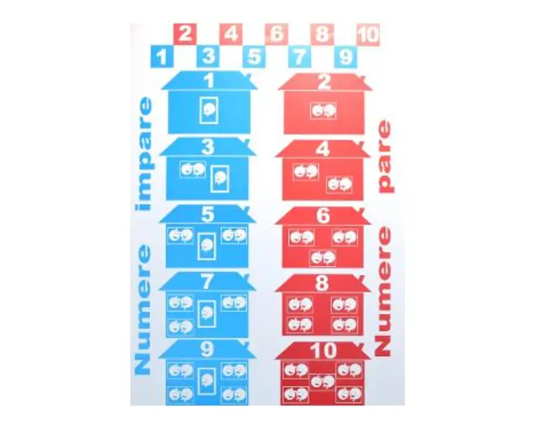 Planse. Matematica. Fise de sinteza (31 fise)