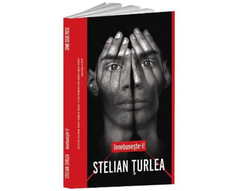 Innebuneste-i - Stelian Turlea