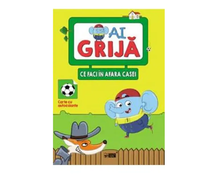 Ai grija ce faci in afara casei
