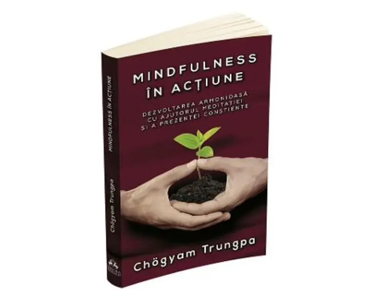 Mindfulness in actiune - Chogyam Trungpa