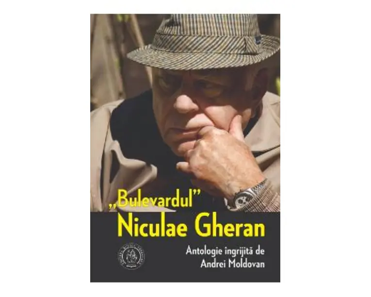 Bulevardul Niculae Gheran - Andrei Moldovan