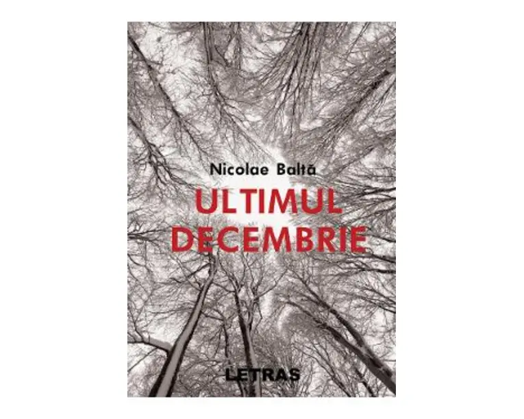Ultimul decembrie- Nicolae Balta