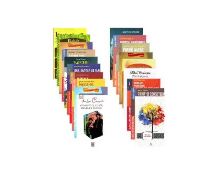 Pachet 19 carti pentru vacanta elevilor. Clasa 6