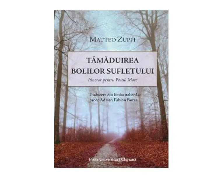 Tamaduirea bolilor sufletului - Matteo Zuppi