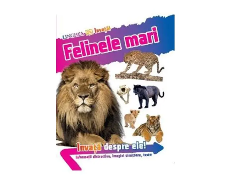 Felinele mari. Invata despre ele!