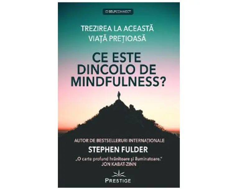 Ce este dincolo de Mindfulness? - Stephen Fulder