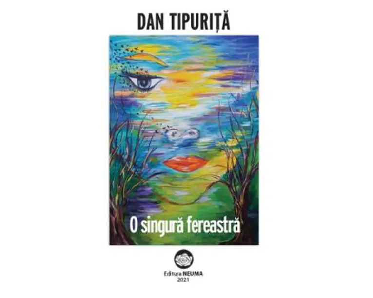 O singura fereastra - Dan Tipurita
