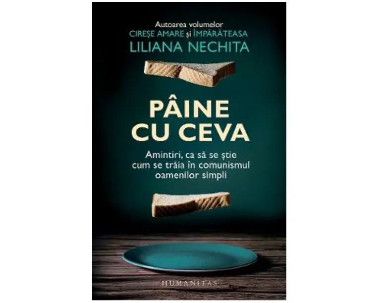Paine cu ceva - Liliana Nechita