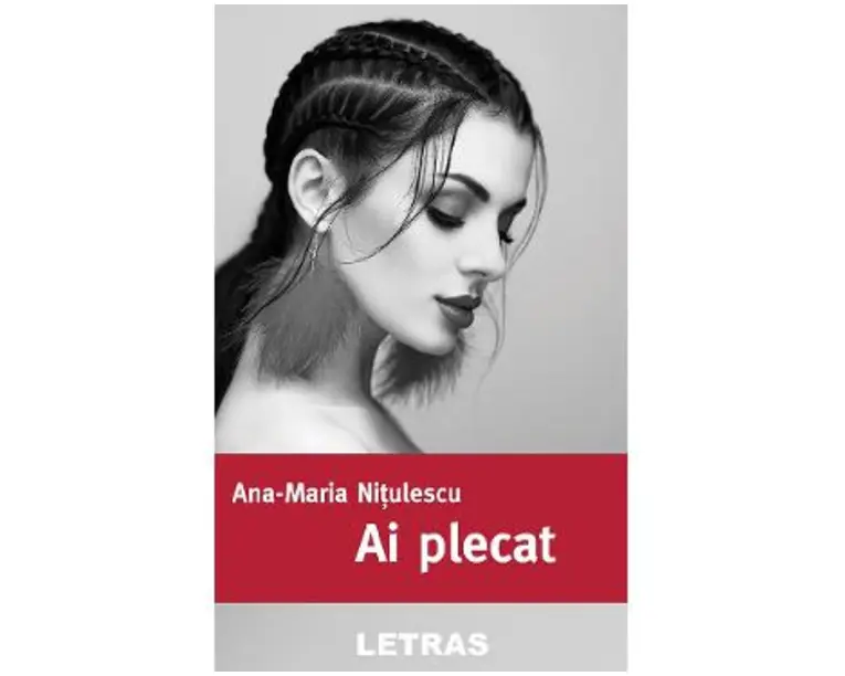 Ai plecat - Ana-Maria Nitulescu