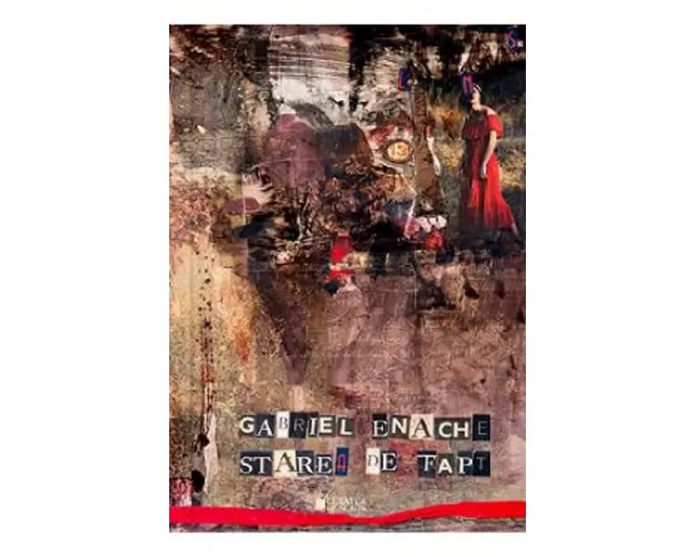 Starea de fapt - Gabriel Enache