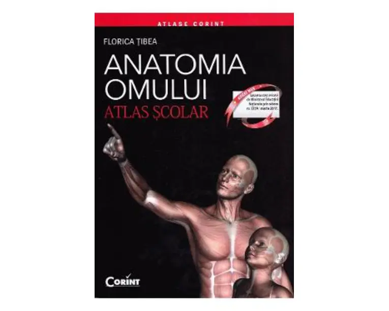 Anatomia omului - Atlas Scolar - Florica Tibea