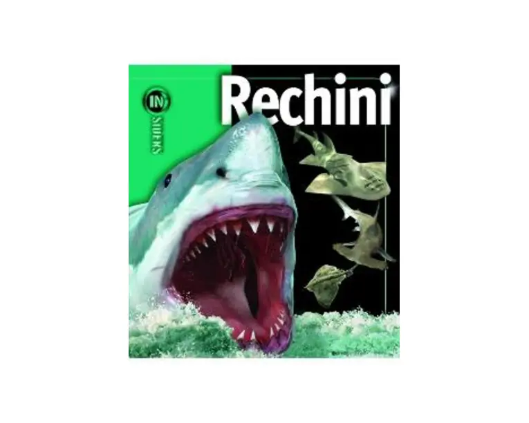 Rechini. Insiders - Beverly McMillan