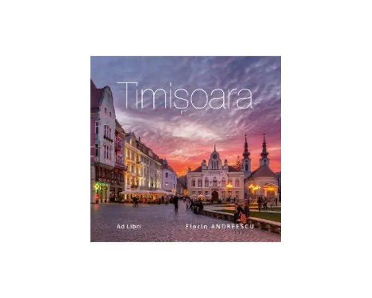 Timisoara - Florin Andreescu
