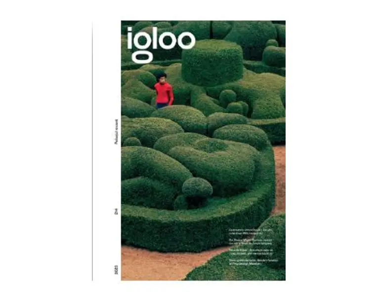 Igloo. Habitat si arhitectura. Iunie-Iulie 2023
