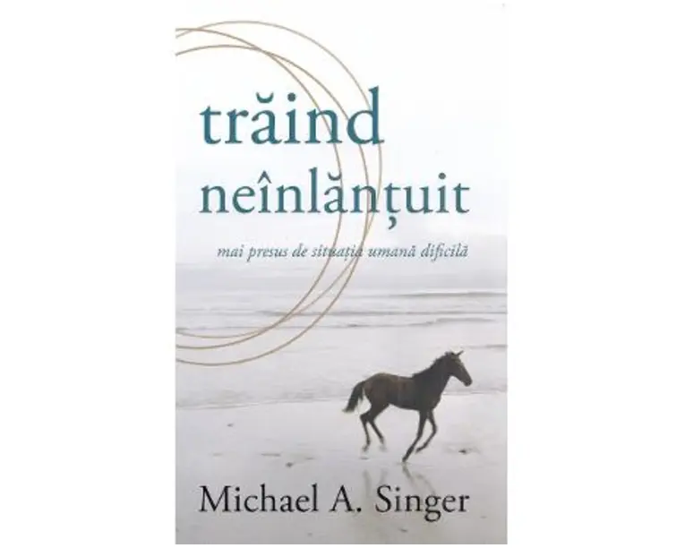 Traind neinlantuit mai presus de situatia umana dificila - Michael A. Singer