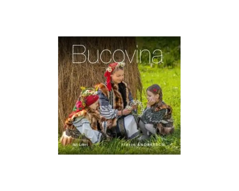 Bucovina - Florin Andreescu