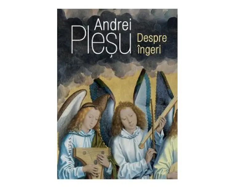 Despre ingeri - Andrei Plesu
