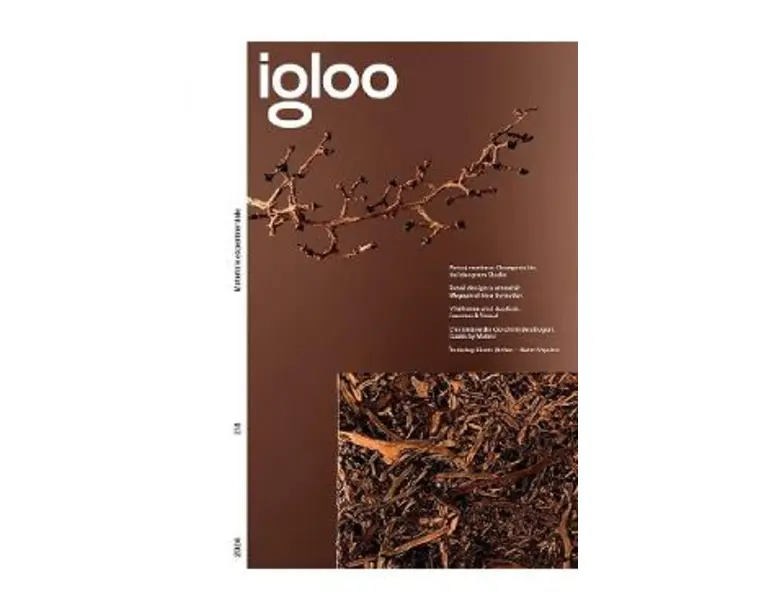 Igloo. Habitat si arhitectura. Februarie-Martie 2024