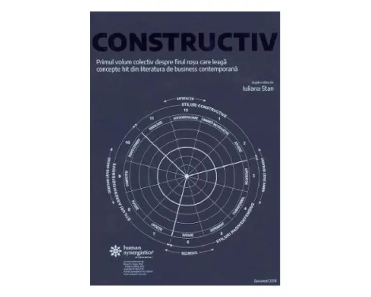 Constructiv - Iuliana Stan