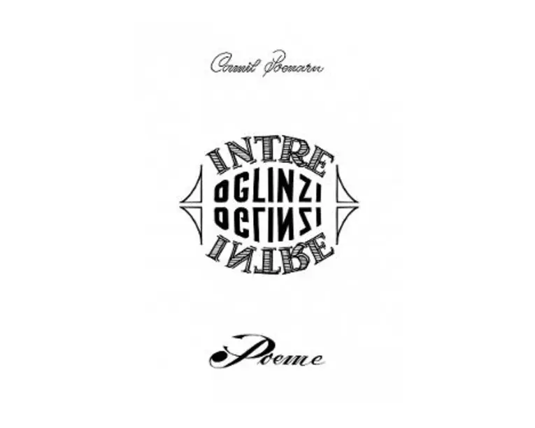 Intre oglinzi - Camil Poenaru