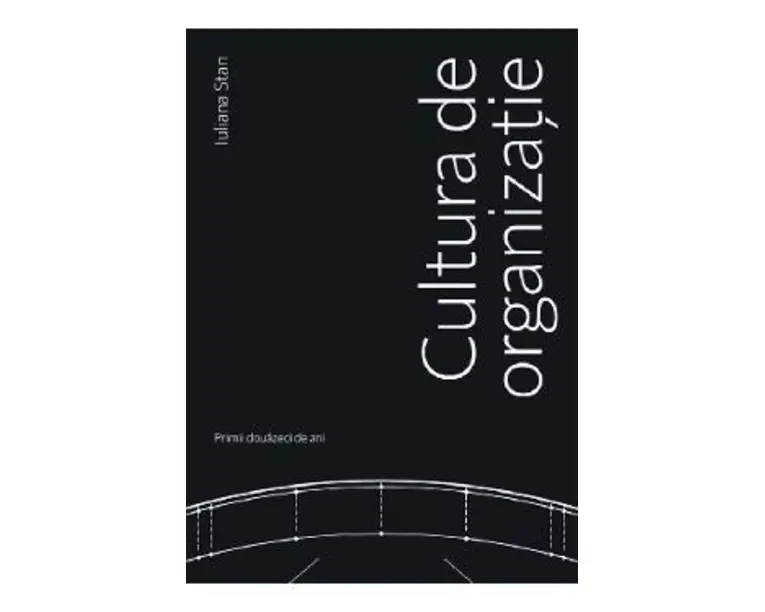 Cultura de organizatie - Iuliana Stan