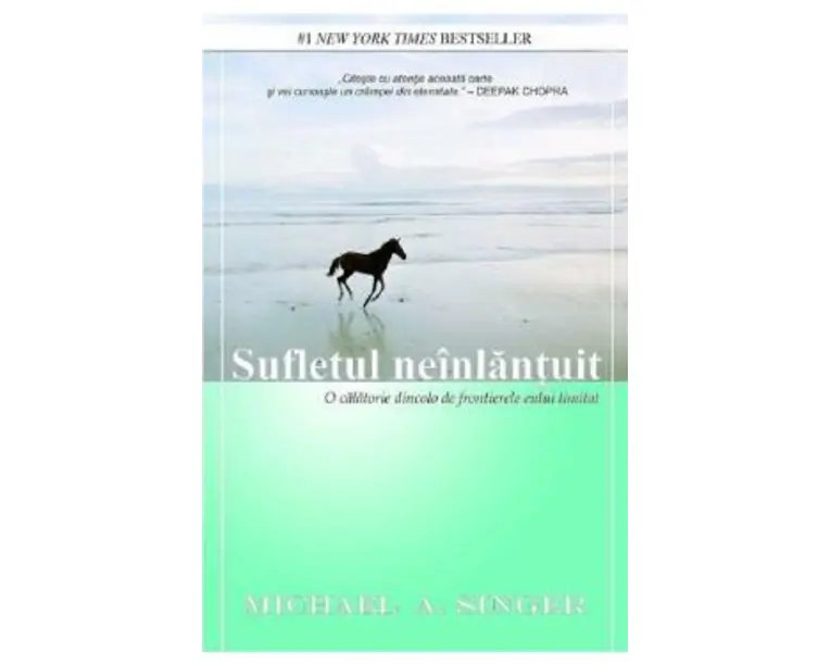 Sufletul neinlantuit - Michael A. Singer
