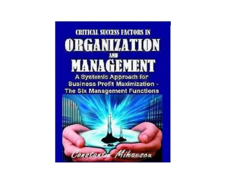 Critical Success Factors In Organization And Management - Constantin Mihaescu
