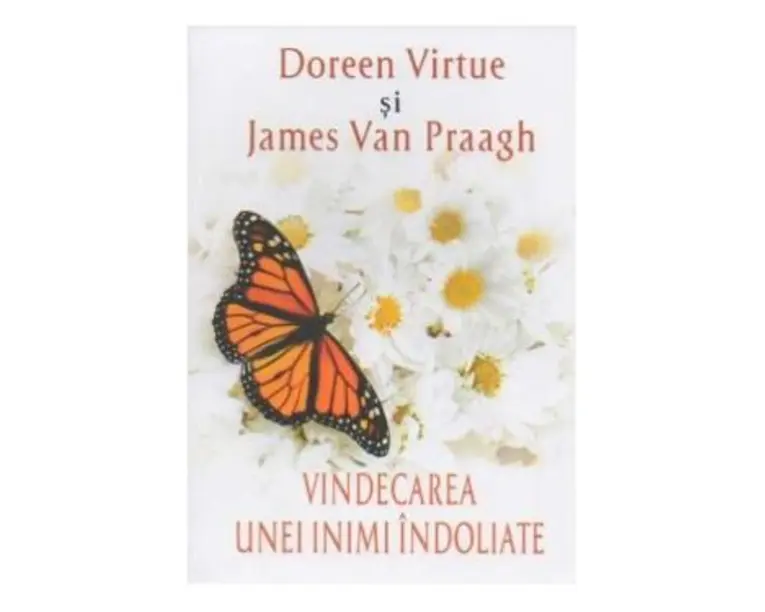 Vindecarea unei inimi indoliate - Doreen Virtue, James Van Praagh