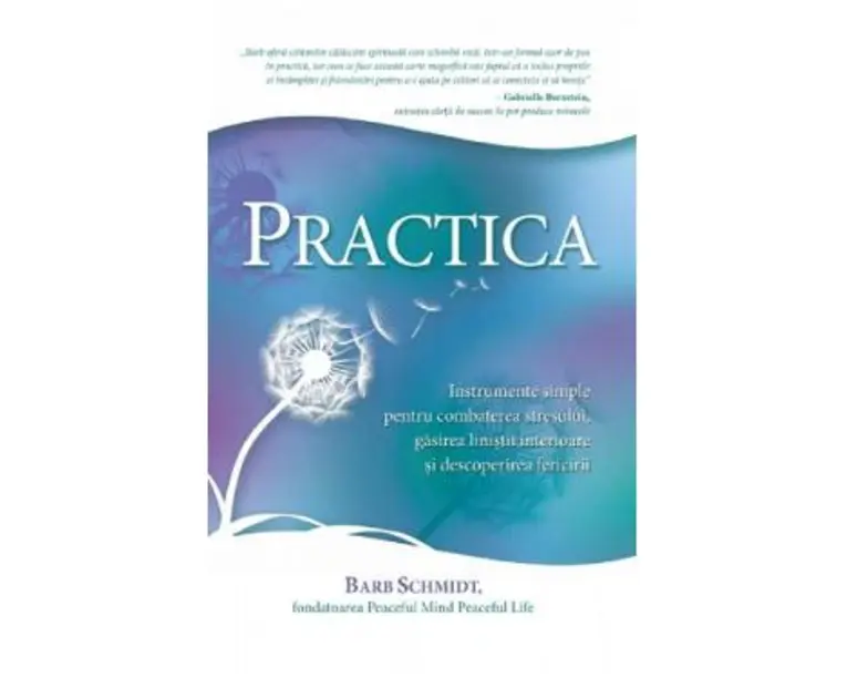 Practica - Barb Schmidt