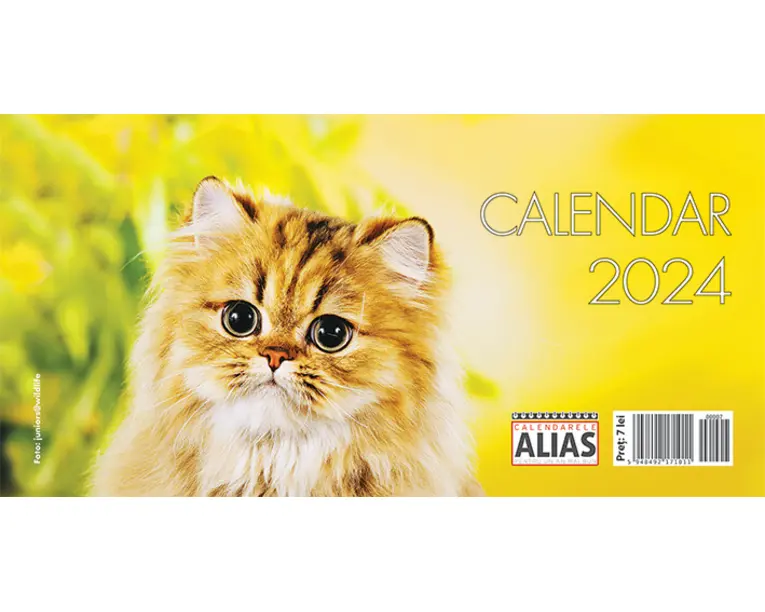 Calendar de birou Imagini pisici