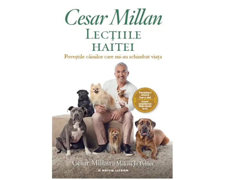 Lectiile haitei. Povestile cainilor care mi-au schimbat viata