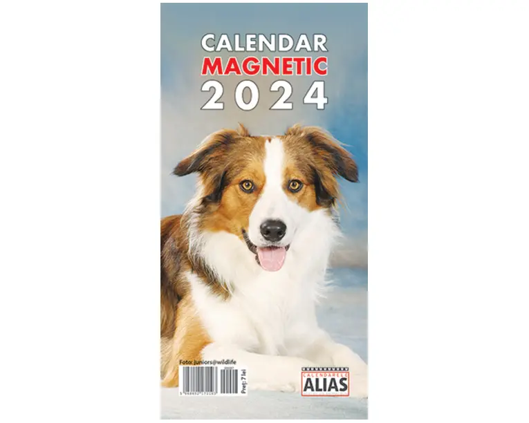 Calendar magnetic Caini