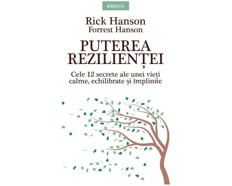 Puterea rezilientei. Cele 12 secrete ale unei vieti calme, echilibrate si implinite