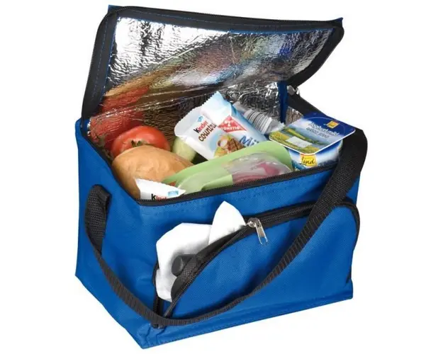 Geanta termoizolanta pentru picnic/plaja, 12L, Albastru